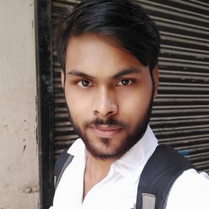 Harsh Gupta-Freelancer in Noida,India