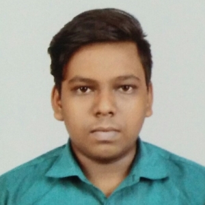 Biswajit Ram-Freelancer in Kolkata,India