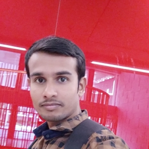 Rajan Singh-Freelancer in ,India