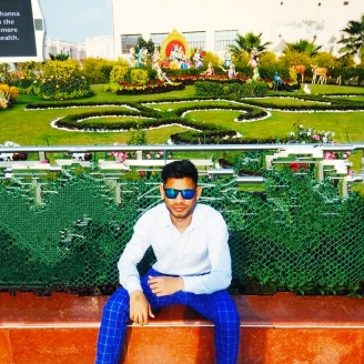 Vinay Prasad-Freelancer in New Delhi,India