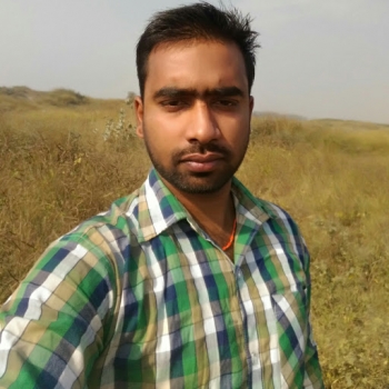 Vivek Ranjan Sharma-Freelancer in Ludhiana,India