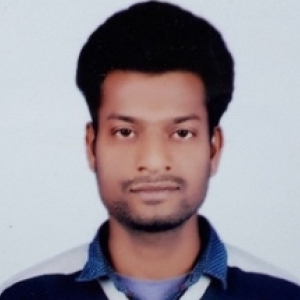Avinash Ranjan-Freelancer in Hajipur,India
