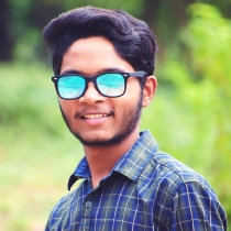 Lekhnarayan Thakur-Freelancer in Bhilai,India