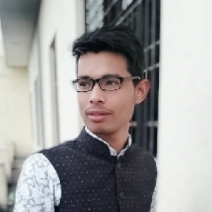 Mehdi Raza-Freelancer in Muzaffarnagar ,India