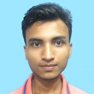ANIMESH SARMAH-Freelancer in NAMRUP,India