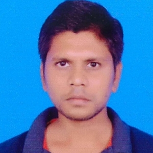 Shikhar Kumar-Freelancer in Bhagalpur,India