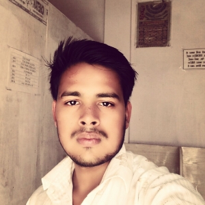 Mohd Zuber Ansari-Freelancer in Bareilly,India