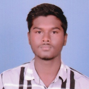 Nilesh David-Freelancer in Indore,India