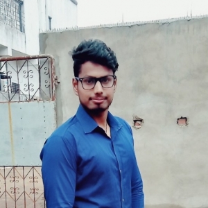 Md Ali Hussain-Freelancer in Asansol,India