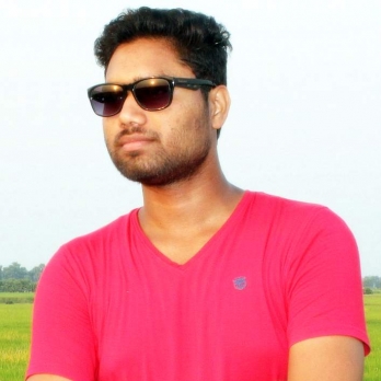 Sheshan Kumar-Freelancer in Patna,India