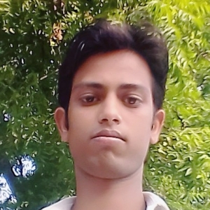 Dilshad Ahmad-Freelancer in Gonda Uttar Pradesh,India