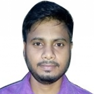 Biswajit Samanta-Freelancer in Kolkata,India