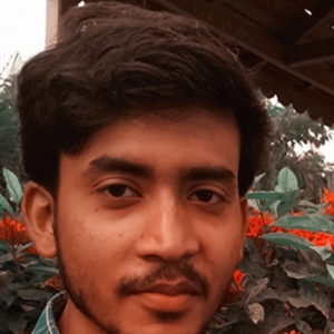 Mahadeb Bagui-Freelancer in Rajarhat,India