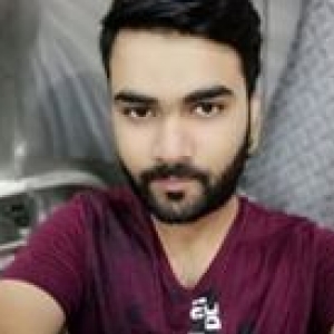 Mohammed Bilal-Freelancer in Indore,India