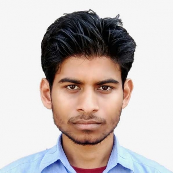 Raju Gupta-Freelancer in ,India