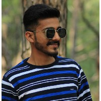 Nitin Shukla-Freelancer in Amb,India