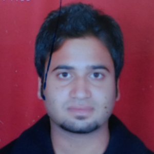 HARDIK PIPANIYA-Freelancer in Raipur,India