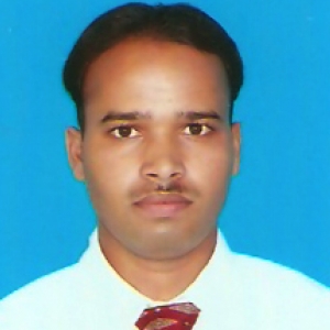 Raja Rinku-Freelancer in PATNA,India