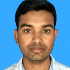 Sahidul Islam-Freelancer in Guwahati,India