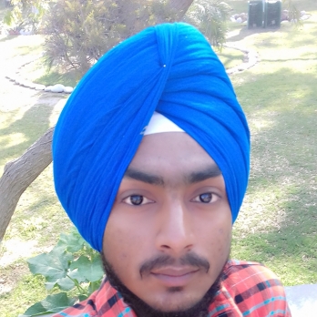 Harnoor Singh-Freelancer in punjab,India