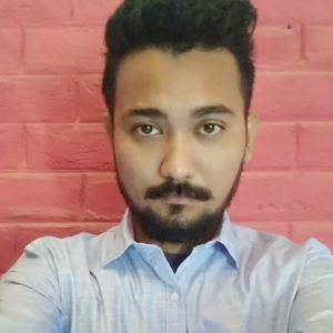 Hanish Mech-Freelancer in ,India
