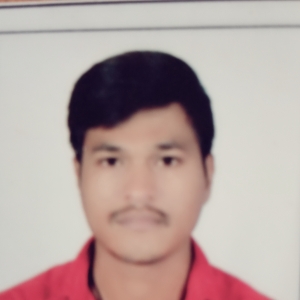 Pandor Vijay-Freelancer in Navagam,India