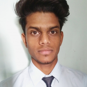 Vishnu Acharya-Freelancer in ,India