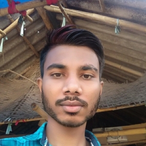 Akash Mohanta-Freelancer in ,India