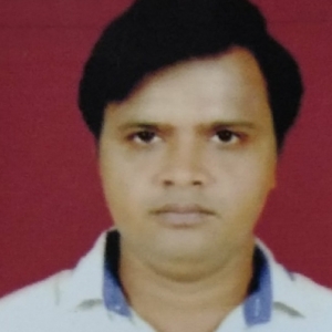Sudhansu Sekhar Barik-Freelancer in ,India