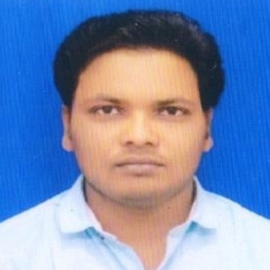 Ravi Kumar Bhardwaj-Freelancer in ,India