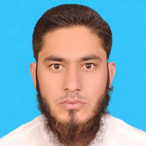 Hussain Ahmad-Freelancer in Swabi,Pakistan