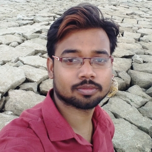 Vikash Anand-Freelancer in Darbhanga,India