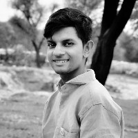 Cs Rathore-Freelancer in Rajsamand ,India
