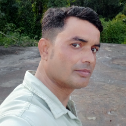 Naushad Alam-Freelancer in Ambikapur,India