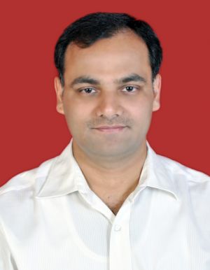 Nilesh Bhat-Freelancer in Pune,India