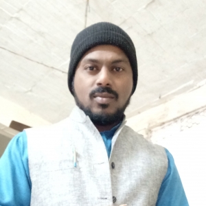 P Kishor-Freelancer in Bhilai ,India