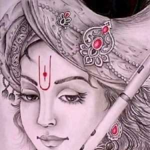 Meera Jadeja-Freelancer in ,India