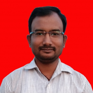 Anand Puranik-Freelancer in Solapur,India