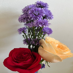 Sughasinee Kesavan-Freelancer in Chennai,India