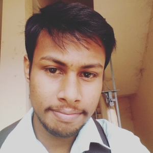 Nilesh Mohanty-Freelancer in Cuttack,India
