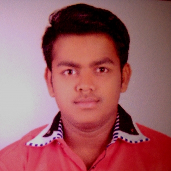 Raj Patil-Freelancer in Kalyan,India