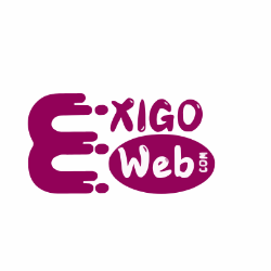 Exigoweb It Comapany-Freelancer in Ahmedabad,India