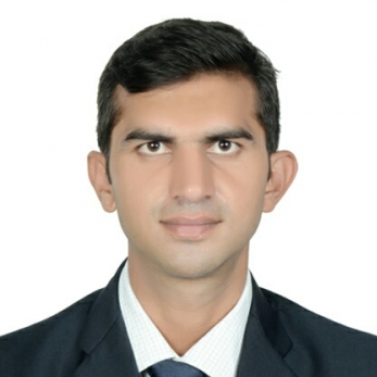 Narendra Kumar Pathak-Freelancer in ,India