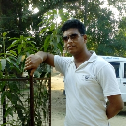 Prakash Deep Sharma-Freelancer in jalandhar,India