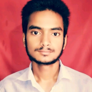 Rahul Kumar-Freelancer in ,India
