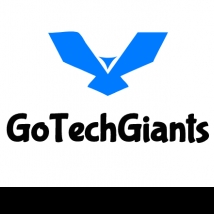 GoTechGiants-Freelancer in Lahore,Pakistan