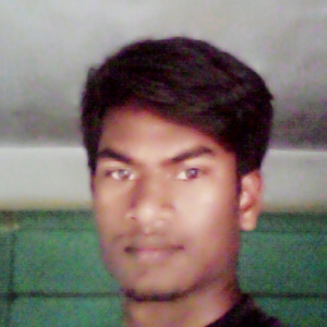 Imran Hossain-Freelancer in Guwahati,India