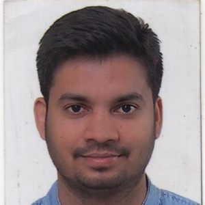 Ajay Rajput-Freelancer in New Delhi,India