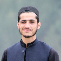 Basit Ali-Freelancer in Gijbori,Pakistan