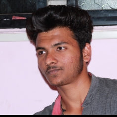 Darshan Karanjkar-Freelancer in Nashik,India